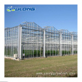 Multi-span glass green house for vegetable growing